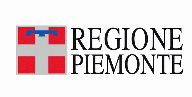 Logo Regione Piemonte